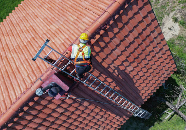 Best Roof Moss and Algae Removal  in Friendly, MD